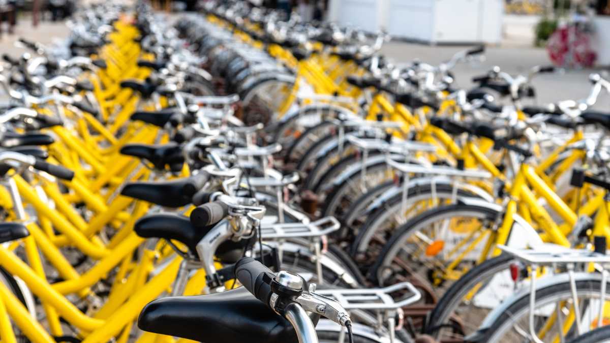 Noleggio bici elettriche a Favignana: prezzi e dove conviene